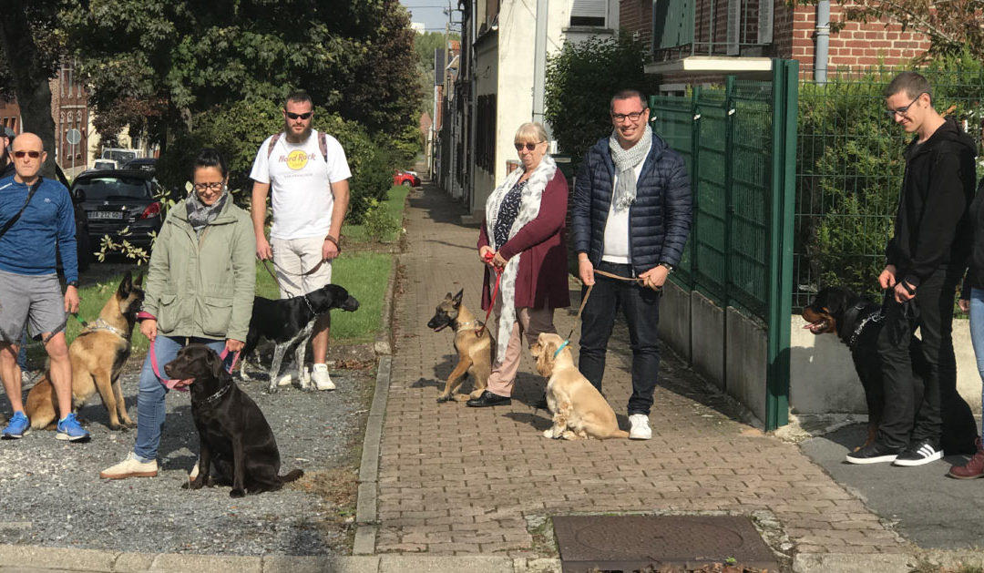 Comment éduquer mon chien?